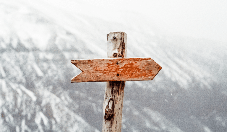 Casting and Cultivating a Vision